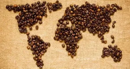 Культура кофе в Украине: История и развитие кофейной культуры в стране, вклад украинских кофеен в мировую индустрию кофе