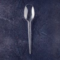 Ложка столова 16 см ПРОЗОРА 100 шт