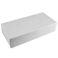 Серветки косметичні Ruta 21*20 см 2 шари білі пенал 100 шт