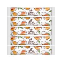 Фруктова пастила ФРУКФЕТА Манго 20 г 5 шт