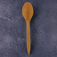 Ложка столова БІО Forest 18 см з дерев'яних волокон 100 шт