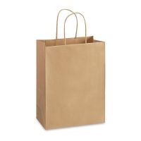  Пакет бумажный с ручками 290*270*170 мм 70 г/м2 КРАФТ