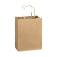  Пакет бумажный с ручками 220*200*90 мм 70г/м2 КРАФТ