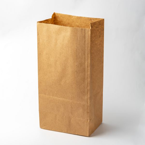 Пакет паперовий без ручок 240*120*85 мм 50г/м2 КРАФТ