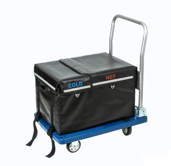 Термоконтейнер з сумкою 60х40х38 см