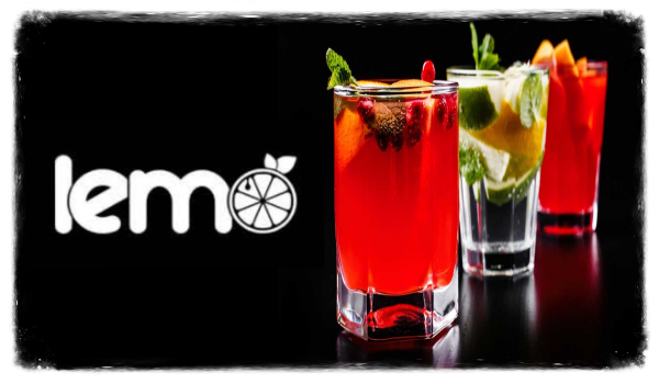 Концентрат для лимонаду та чаю LEMO Барбарис-М'ята