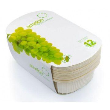 Набір БІО лотків двосекційних глубоких з кукурудзяного крохмалю 12 шт