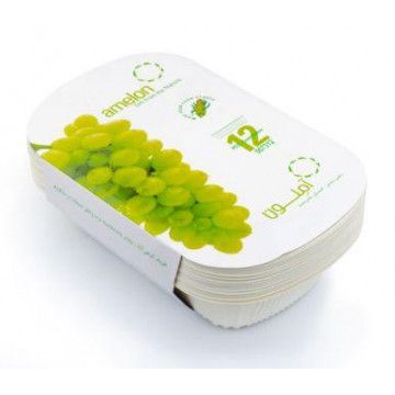 Набір БІО лотків прямокутних з кукурудзяного крохмалю 12 шт